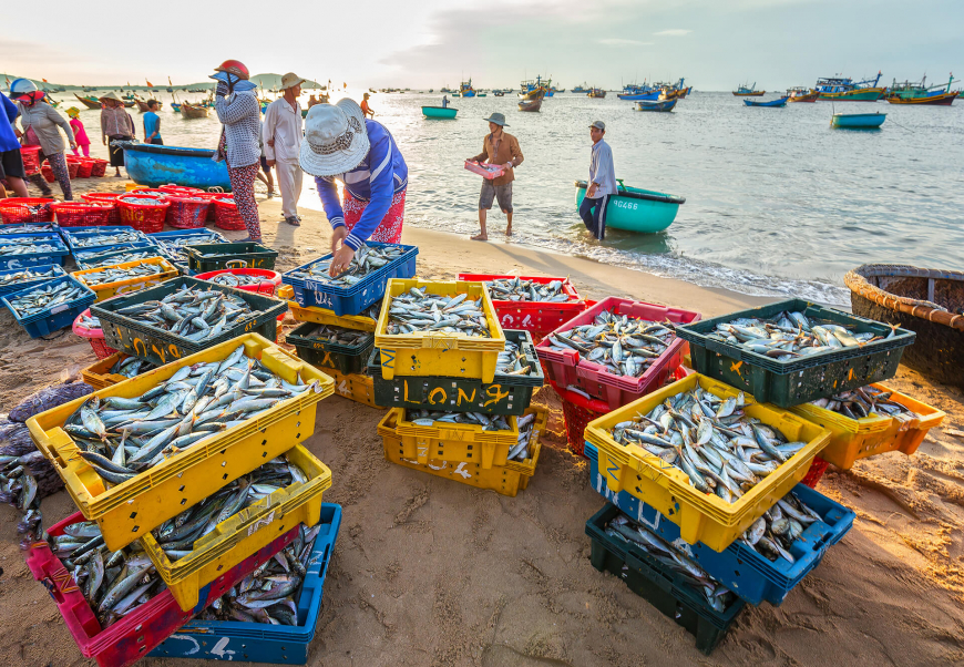 Mui Ne Food Guide: Best Seafood & Local Dishes in Vietnam’s Coastal Paradise