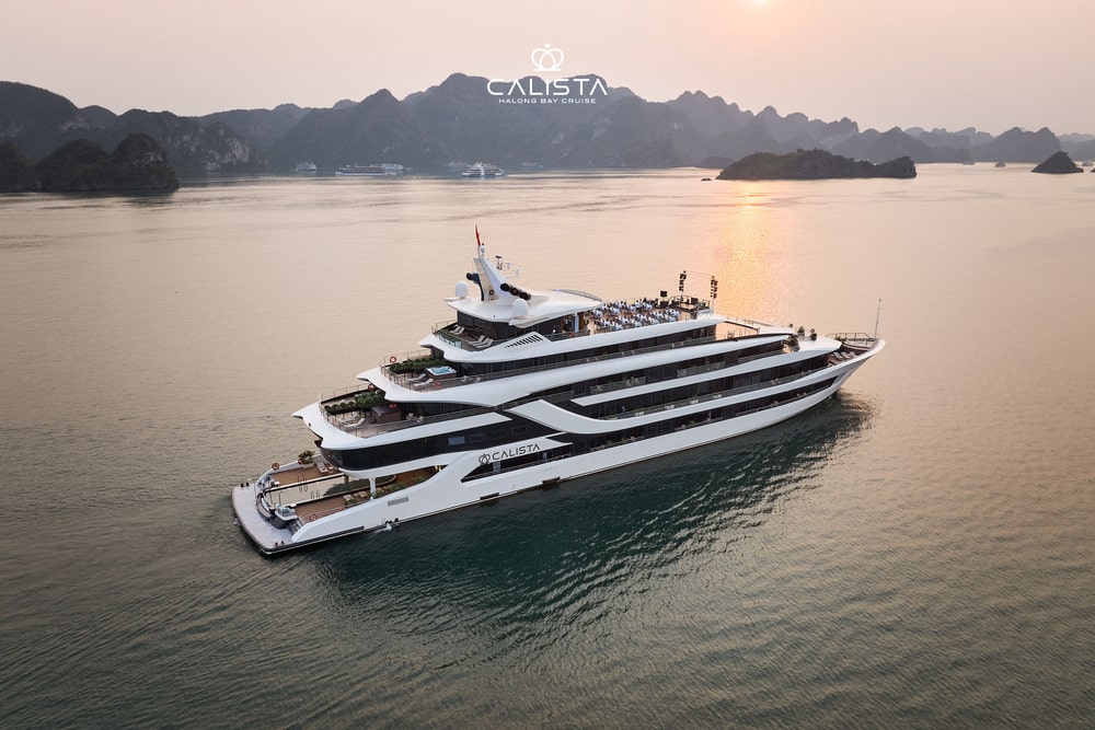 Calista Cruise