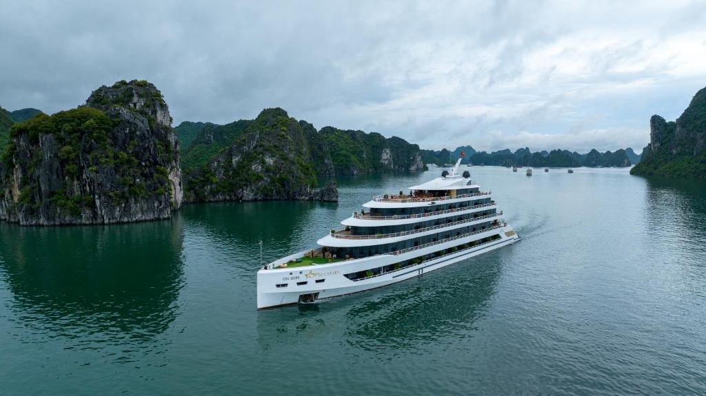 Sea Stars Cruise