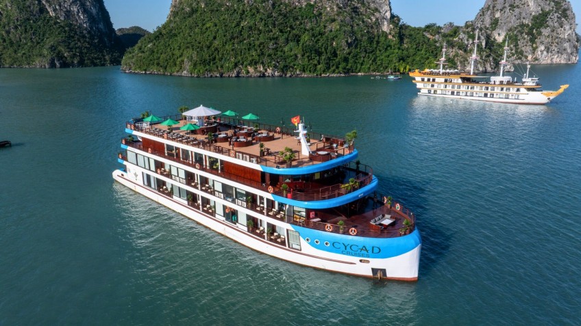 Cycad Cruise