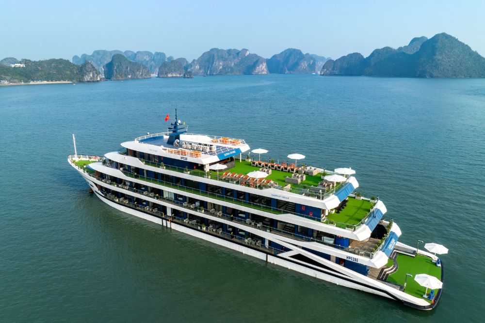 Doria Cruise