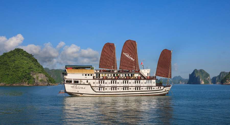 Paloma Cruise